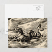 Zee Dragon bij de evenaar Briefkaart (Voorkant / Achterkant)