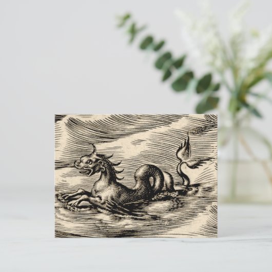 Zee Dragon bij de evenaar Briefkaart (Staand voorkant)