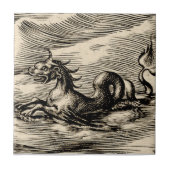 Zee Dragon bij de evenaar Tegeltje (Voorkant)