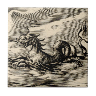 Zee Dragon bij de evenaar Tegeltje