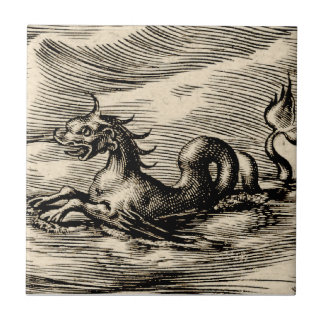 Zee Dragon bij de evenaar Tegeltje