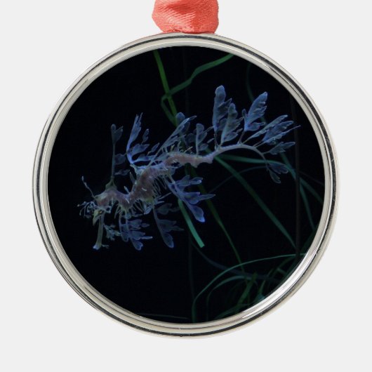 Zee Dragon Metalen Ornament (Voorkant)