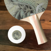Zee Dragon Pingpongbal