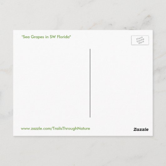 Zee Druiven Boom Struik Florida Briefkaart (Achterkant)