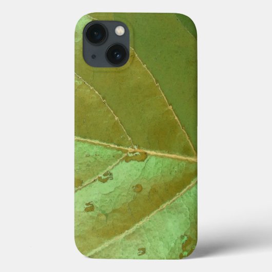 Zee Druivenblad Close-up Case-Mate iPhone Case (Achterkant)