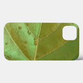 Zee Druivenblad Close-up Case-Mate iPhone Case (Achterkant (horizontaal))