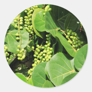 Zee Druivenbladeren en bessen Ronde Sticker
