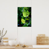 Zee Druivenbladeren Struik Poster (Keuken)