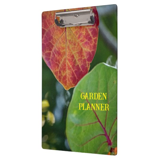 Zee Druiventuin Klembord (Links)