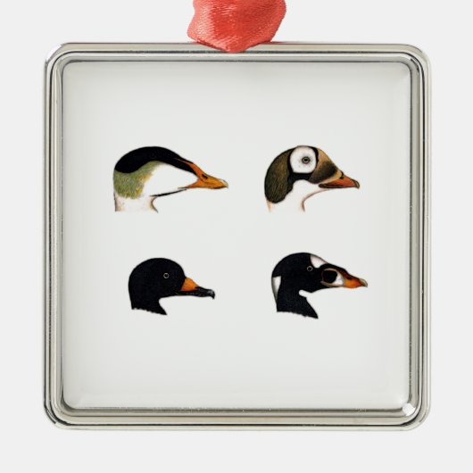 Zee Ducks Logo Metalen Ornament (Voorkant)