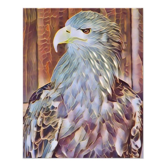 ZEE EAGLE FOTO AFDRUK (Voorkant)