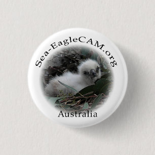 Zee-Eagle Hatchling Button