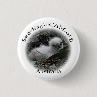 Zee-Eagle Hatchling Button