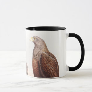 Zee Eagle John Gould Birds of Great Britain Natuur Mok