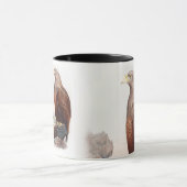 Zee Eagle John Gould Birds of Great Britain Natuur Mok (Midden)