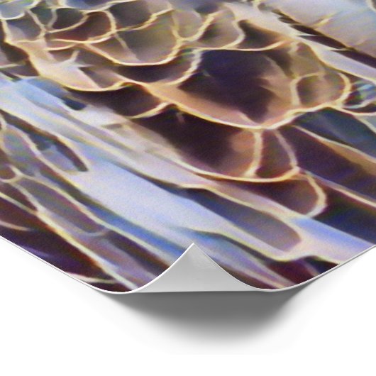 ZEE EAGLE POSTER (Hoek)