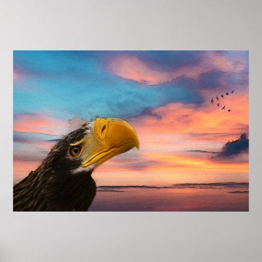 Zee Eagle Poster (Voorkant)