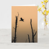 Zee Eagle Wildlife Foto Kaart (Gele Bloem)