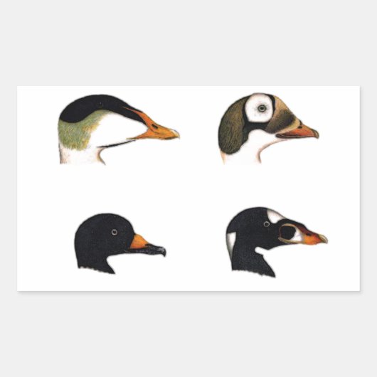 Zee Eenden Logo Rechthoekige Sticker (Voorkant)