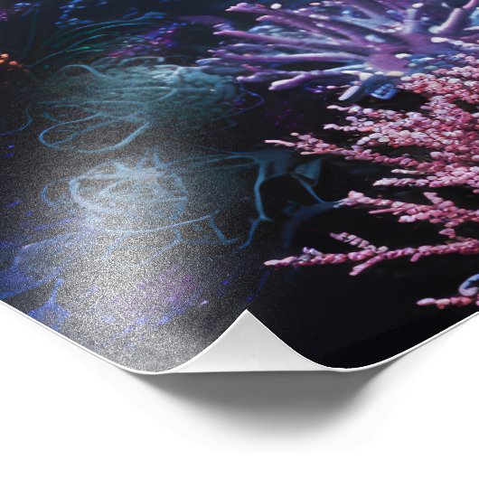 Zee-eenhoorn #2 foto afdruk (Hoek)