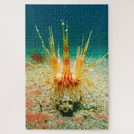 Zee-egels Legpuzzel