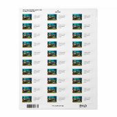 Zee-elf Zeemeermin en Dolfijn Fantasie Kunst Etiket (Full Sheet)