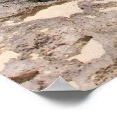 Zee en Oerwoud Poster (Hoek)