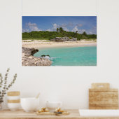 Zee en Oerwoud Poster (Keuken)