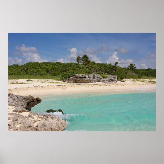 Zee en Oerwoud Poster (Voorkant)