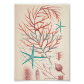 Zee Foto Afdruk (Voorkant)