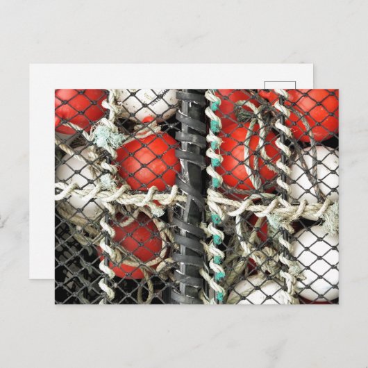 ZEE GEVIST BRIEFKAART (Voorkant / Achterkant)