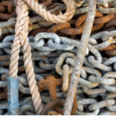 ZEE GEVIST CANVAS AFDRUK