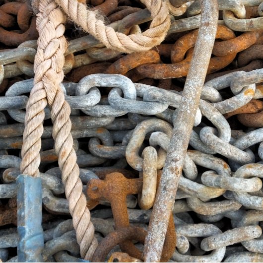 ZEE GEVIST CANVAS AFDRUK