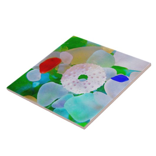 Zee glas en Zee Urchin Shell Tegeltje (Zijkant)