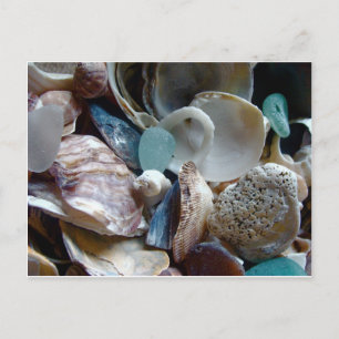 Zee Glass Shell verzameld Briefkaart