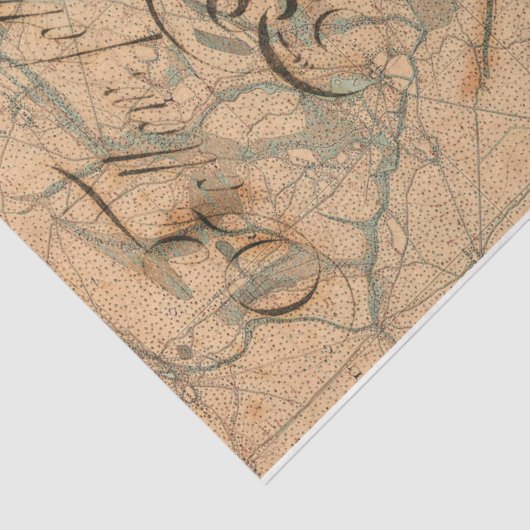 Zee Goddess Tissuepapier (Detail)