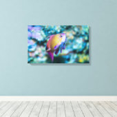 Zee goldie canvas afdruk (Insitu (Houten vloer))