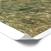 Zee grasland poster (Hoek)