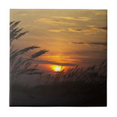 Zee Grass Sunset Ceramic Tile Tegeltje (Voorkant)