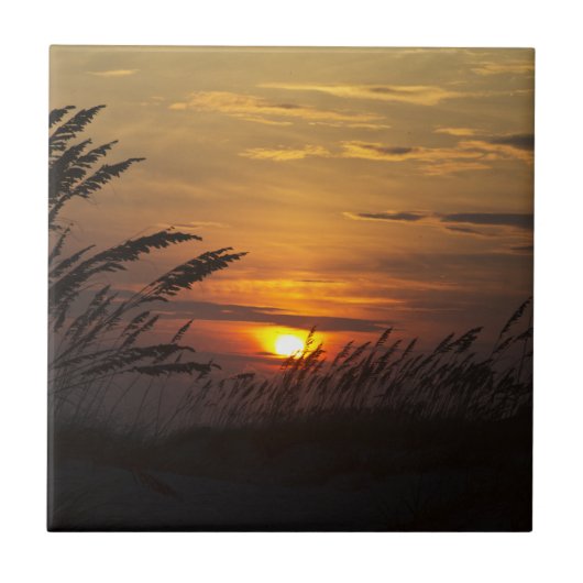 Zee Grass Sunset Ceramic Tile Tegeltje (Voorkant)