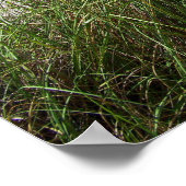 Zee grassen poster (Hoek)