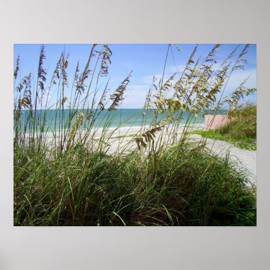 Zee grassen poster (Voorkant)