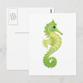 Zee Green Filly Briefkaart (Voorkant / Achterkant)