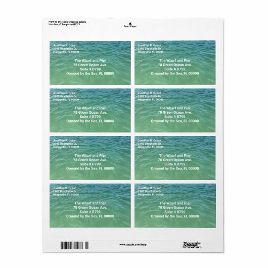 Zee Green Ocean Water Two Adresetiketten Etiket (Full Sheet)