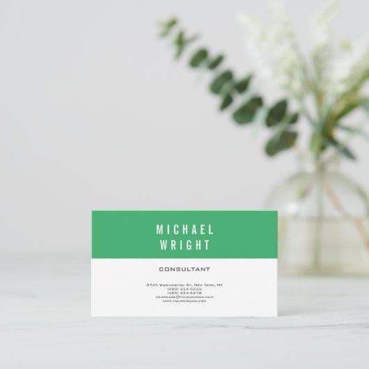 Zee Groen Wit Modern Plain Eenvoudige Minimalist Visitekaartje (Staand voorkant)