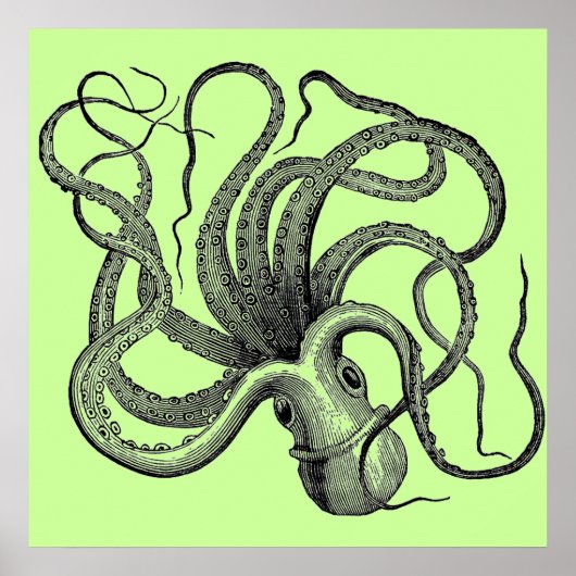Zee groene octopus poster (Voorkant)