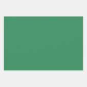 Zee groene vaste kleur inpakpapier vel (Voorkant 2)