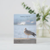 Zee Gull2, Birdwatch in Duluth, MN Briefkaart (Staand voorkant)