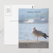 Zee Gull2, Birdwatch in Duluth, MN Briefkaart (Voorkant / Achterkant)