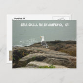 ZEE GULL IN STAMFORD, CT, $B.A.K.$ ... BRIEFKAART (Voorkant / Achterkant)